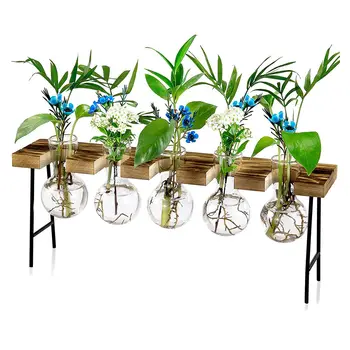 Станции размножения, Настольный воздушный террариум для растений, Стеклянная плантаторная лампа, Стеклянная ваза с деревянной подставкой - Plant Terrarium